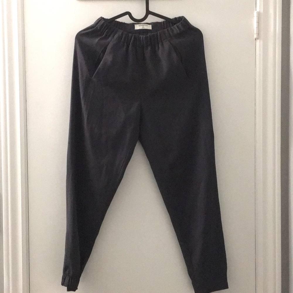Aritzia Babaton Dexter pants